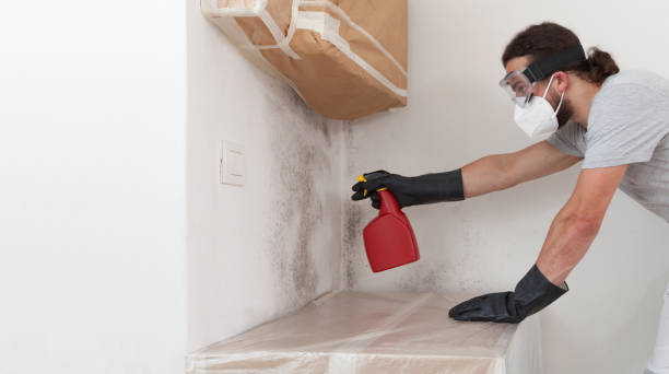 Professional Attic Mold Removal technician working in Newton Lower Falls, MA