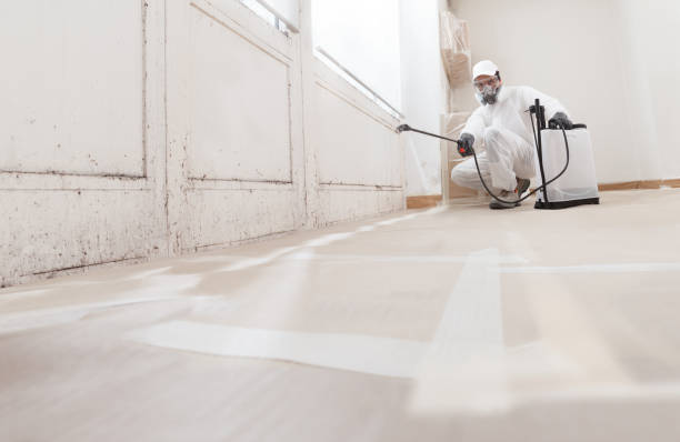24/7 Emergency Attic Mold Removal experts in Newton Lower Falls, MA